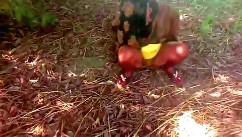 Indian chick with a nice body is enjoying outdoor sex